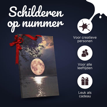 Rubye® Schilderen op Nummer Volle Maan