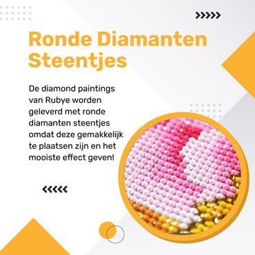 Rubye® Diamond Painting Bloemen Fiets