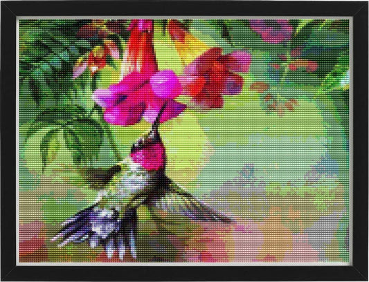 Diamond Painting Kleurrijke Kolibries