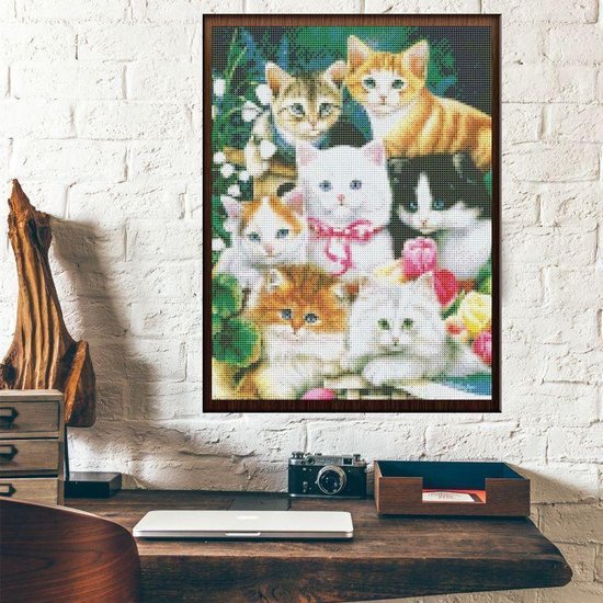 Diamond Painting Schattige Kittens