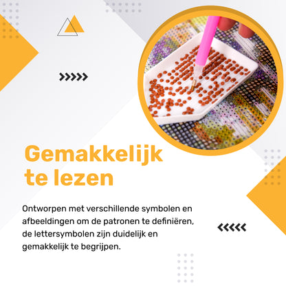 Rubye® Diamond Painting Bloemen Fiets