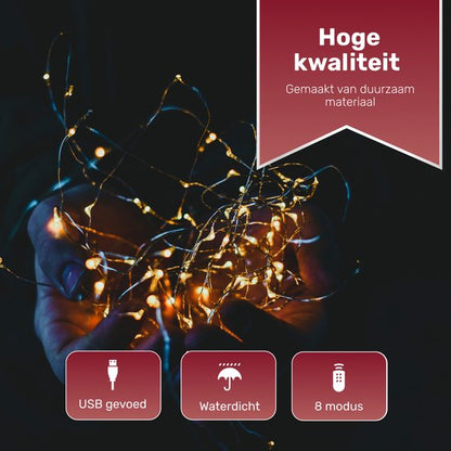 LED Lichtgordijn - 300 LED's – 3x3m