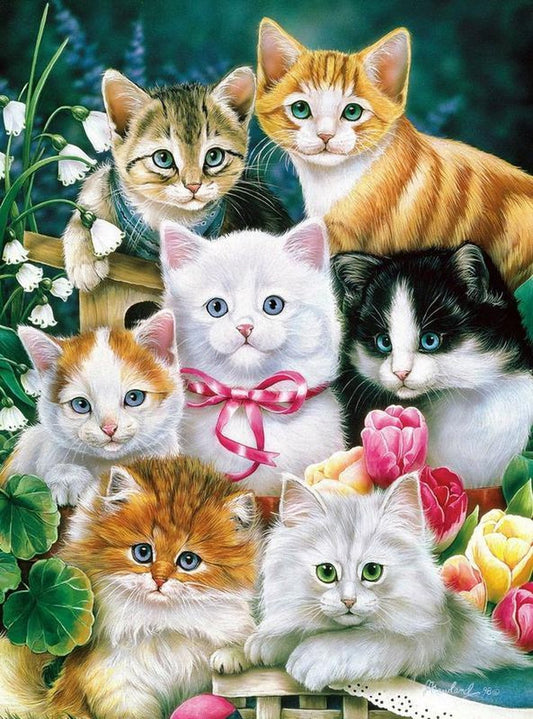 Diamond Painting Schattige Kittens