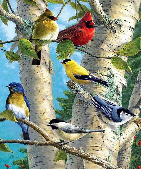 Diamond Painting Kleurrijke Vogels